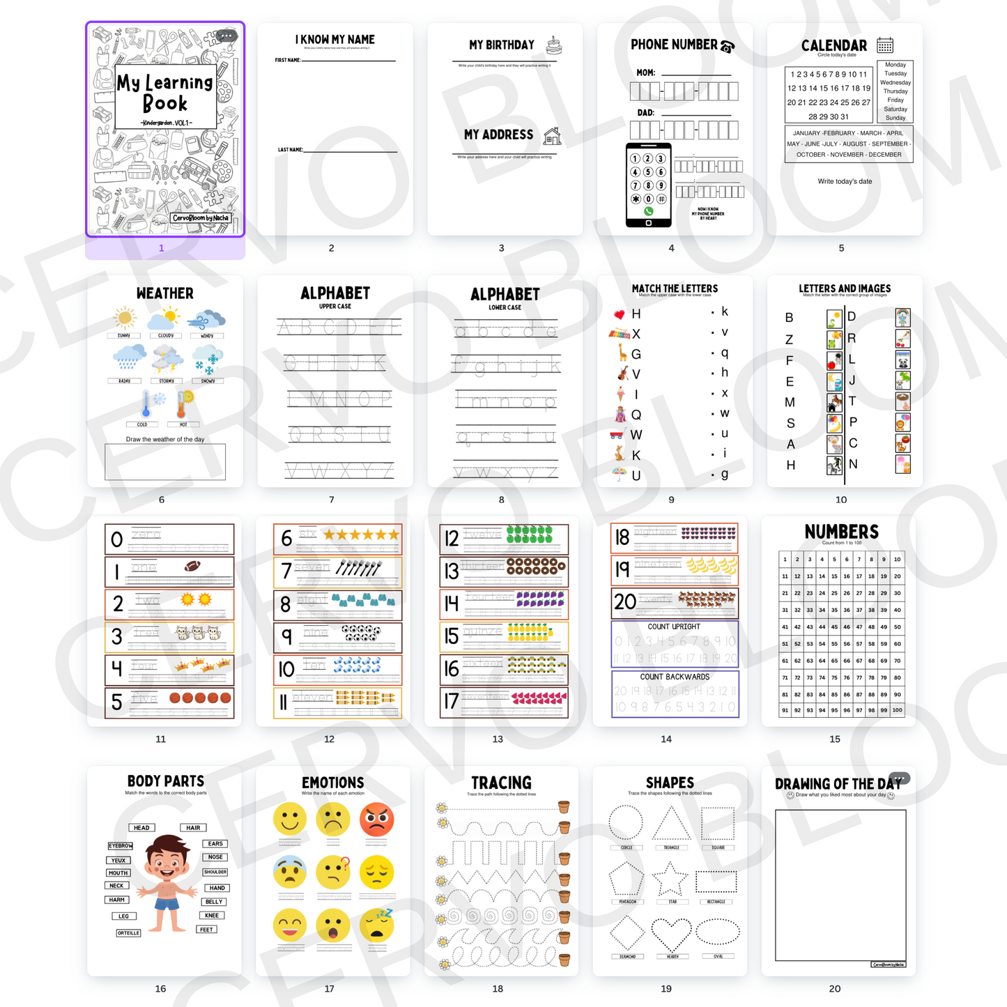 Digital | Kindergarten Learning Workbook | Volume 1